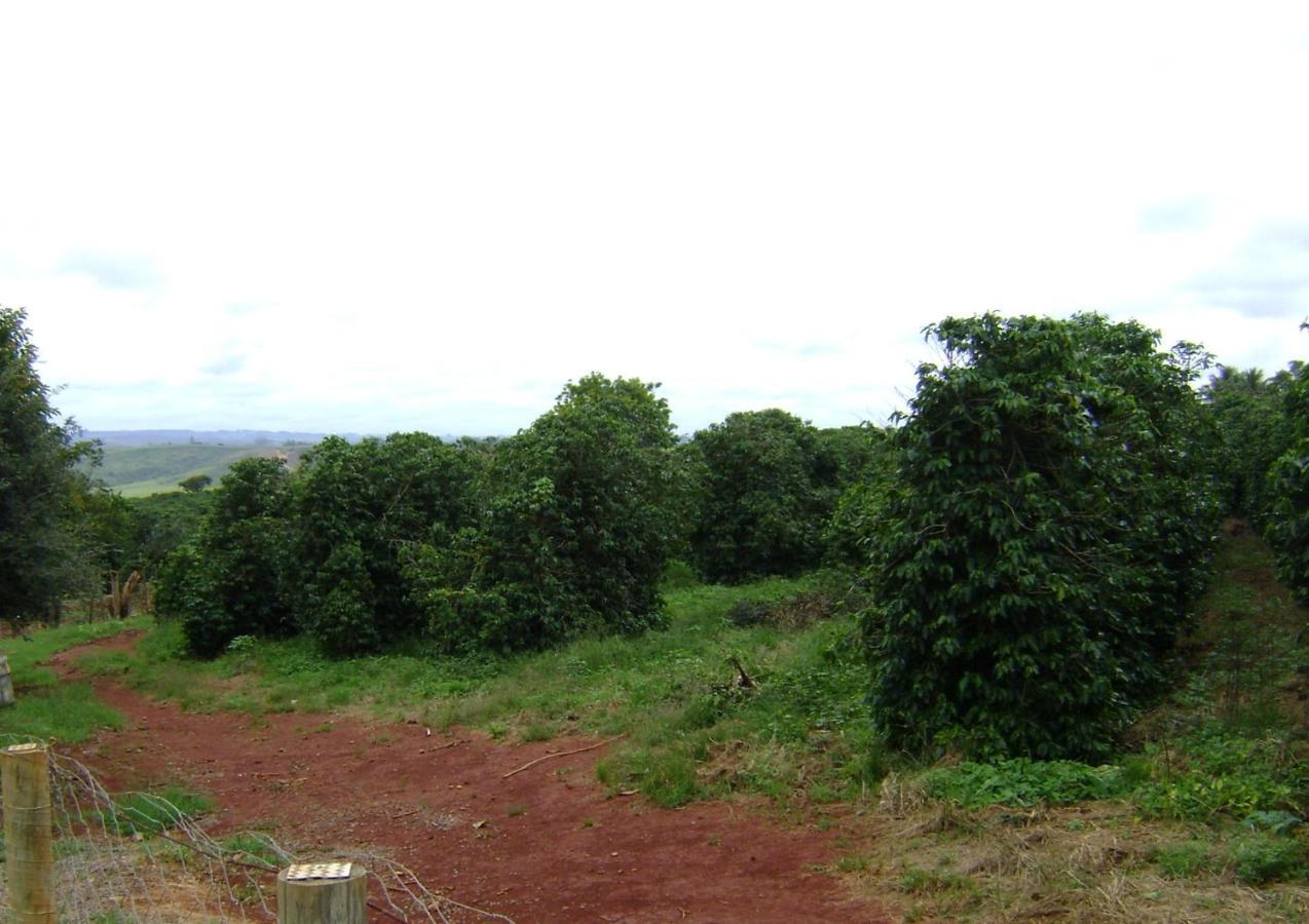 Sitio Sao Benedito São Roque de Minas Esterno foto